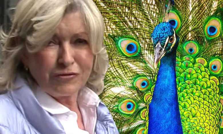 Martha Stewart Devastated by the Loss of Pet Peacocks Especially 'Blue Boy'