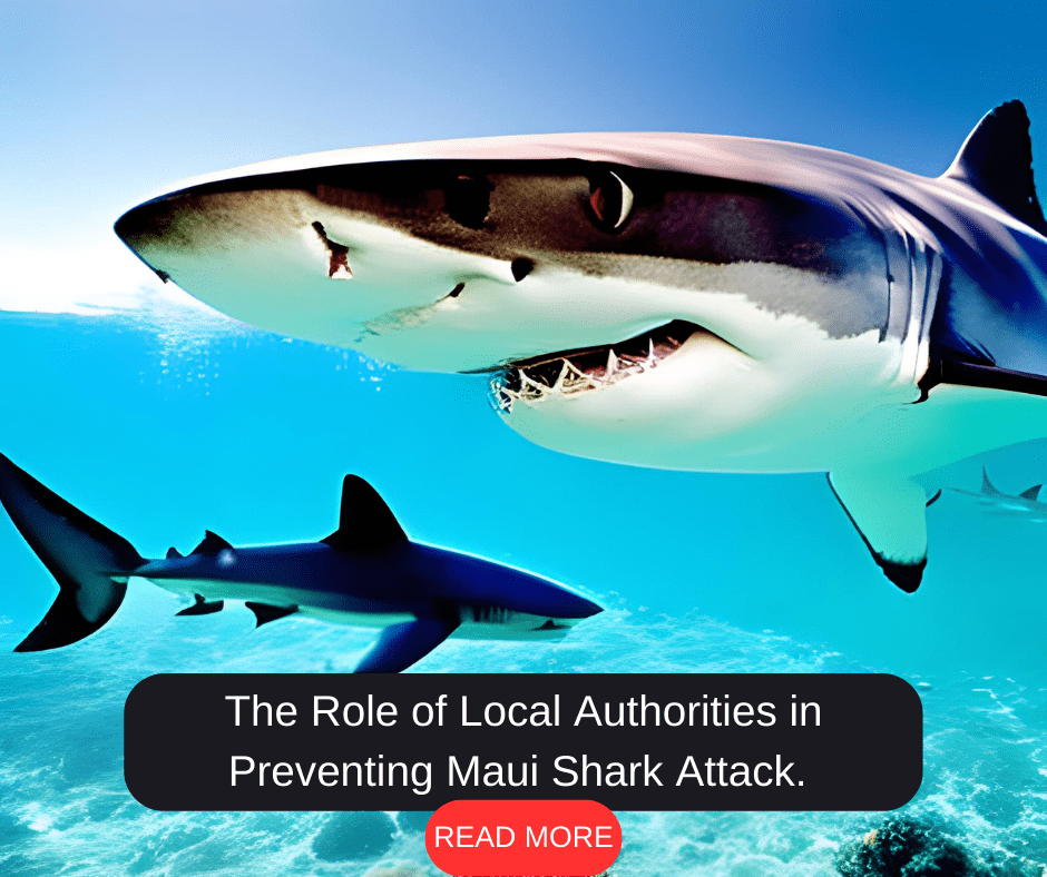 The Role of Local Authorities in Preventing Maui Shark Attack.