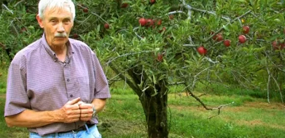 Retired Engineer Tom Brown Saved 1200 Types Of Apples From Extinction.
